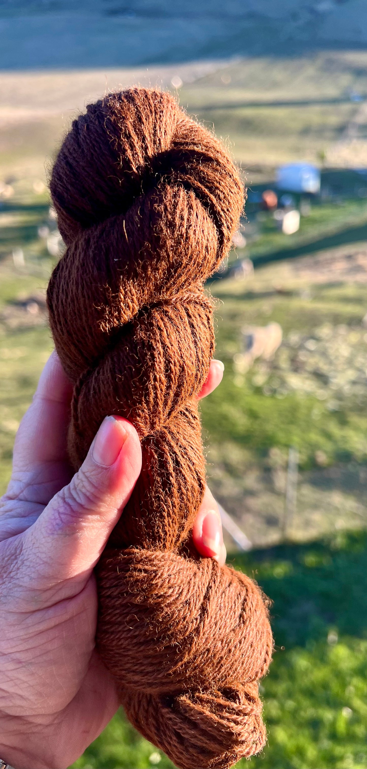 Alpaca yarn- Malteser