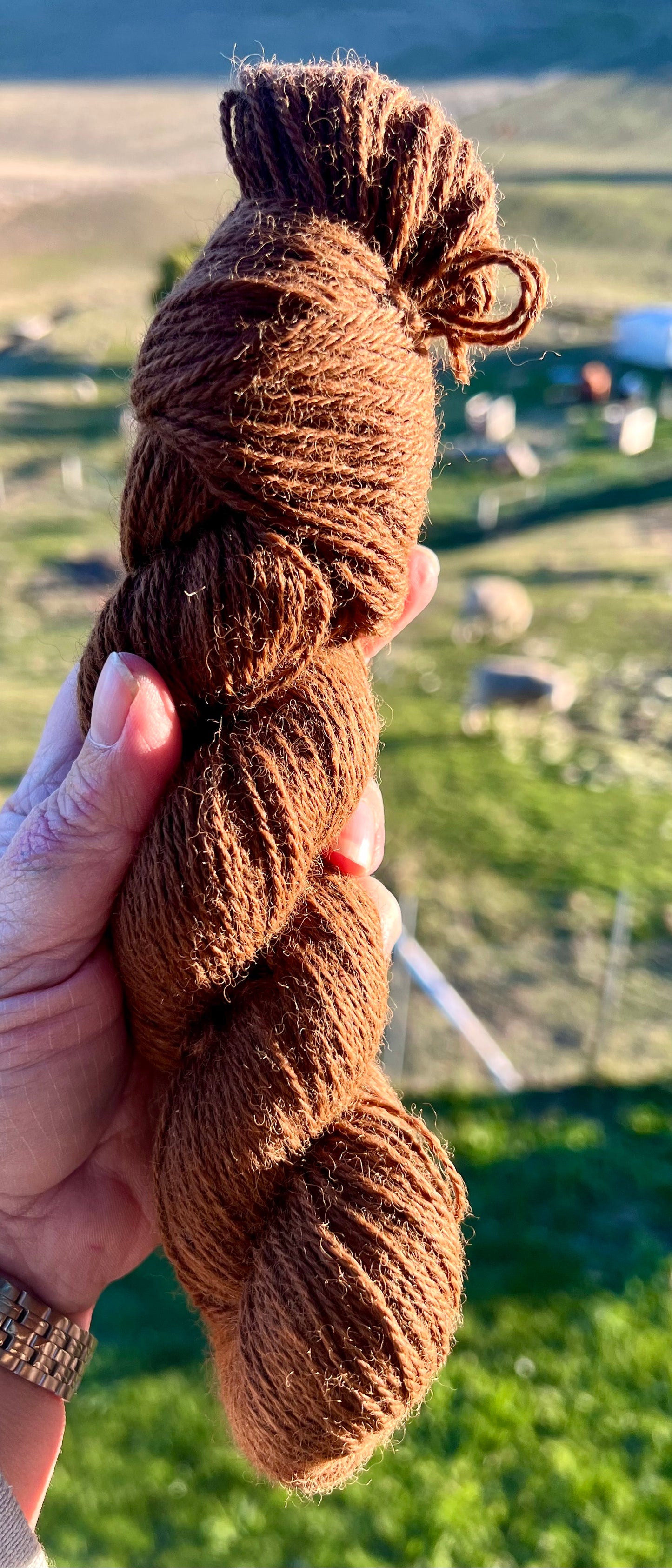 Alpaca Yarn- Mars