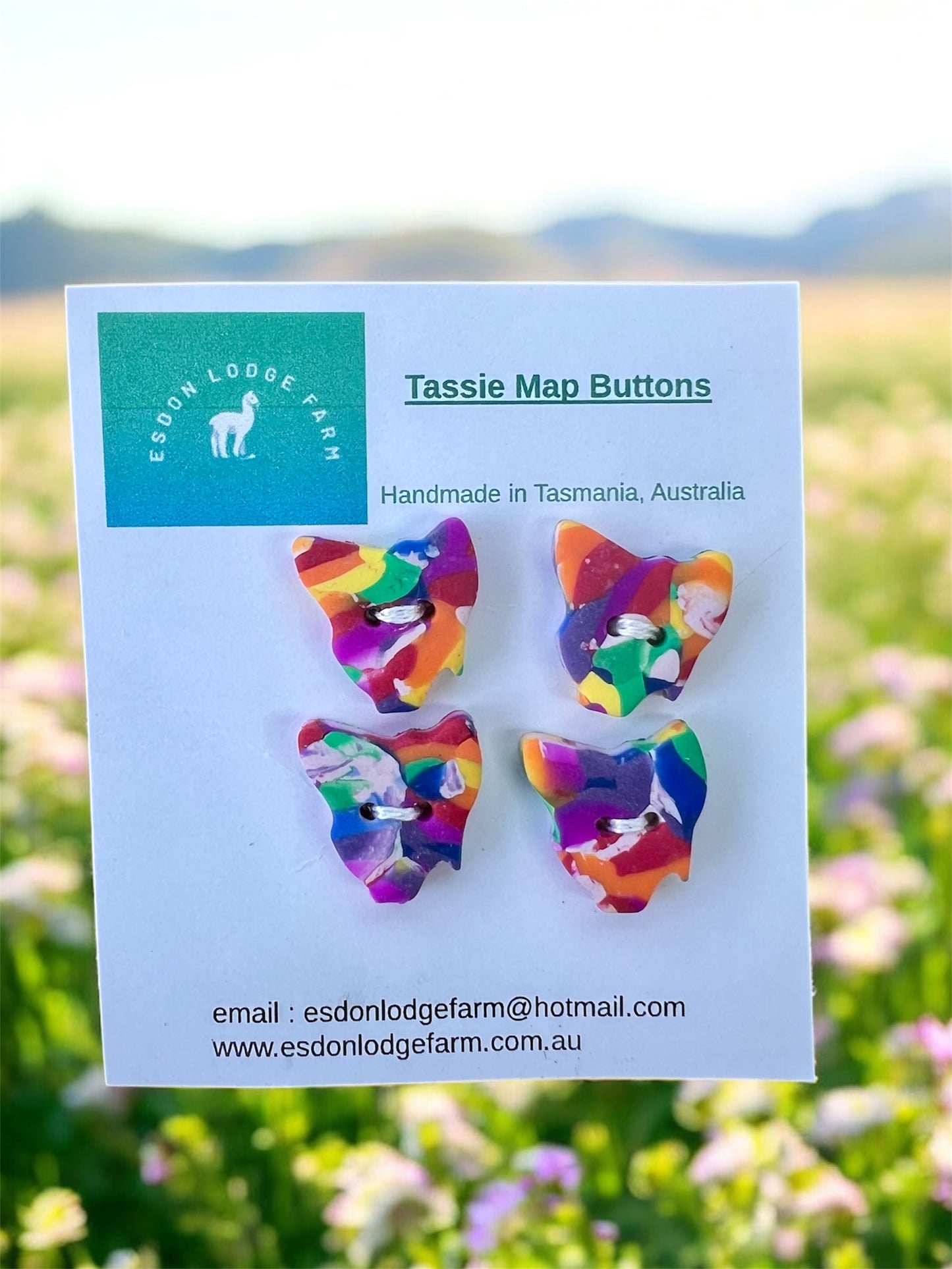 Handmade Tassie Map Buttons