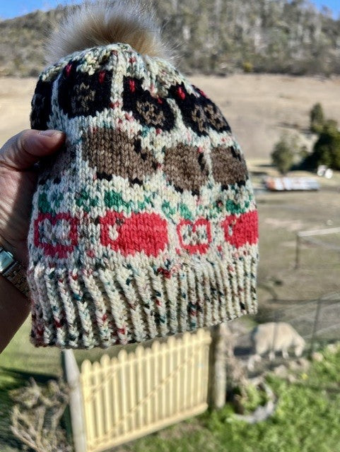 Merino Wool Child Beanie - Tasmania Apple Isle