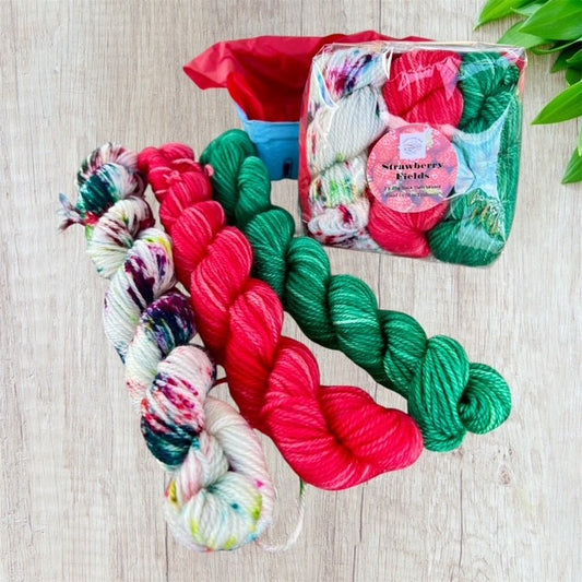 Summer Berries Punnet- 3x mini skeins