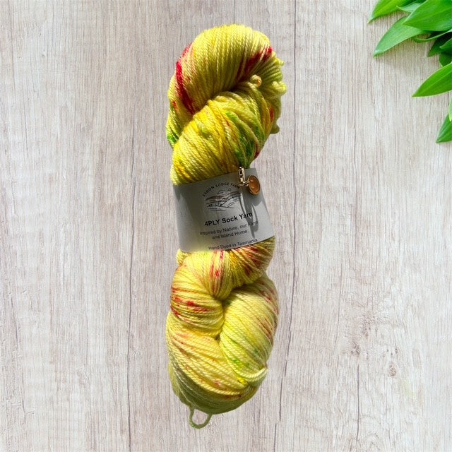 Dahlia Delight Sock yarn