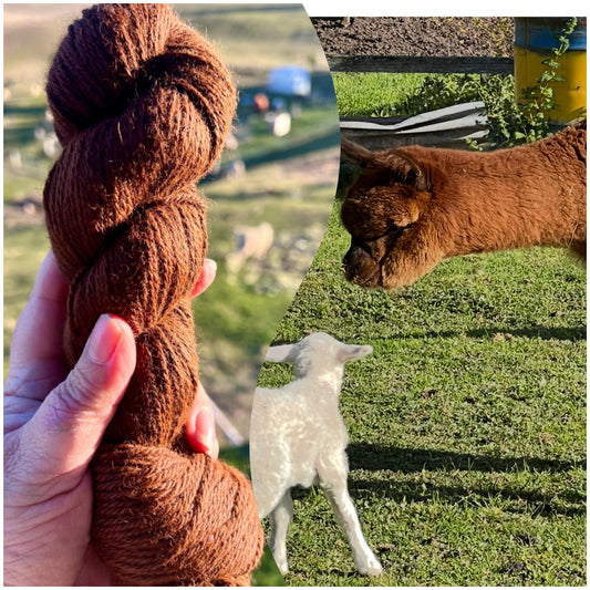 Alpaca yarn- Malteser