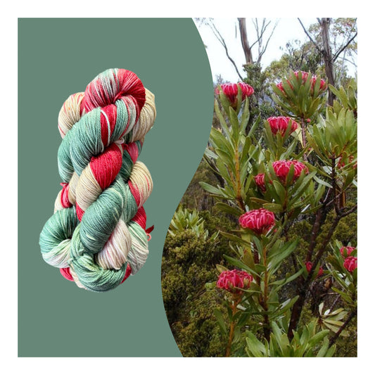 Waratah 8ply DK yarn