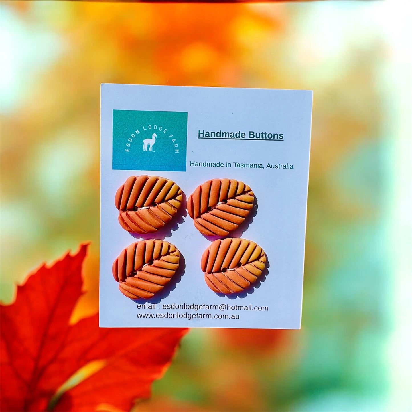 Handmade Fagus Leaf Buttons