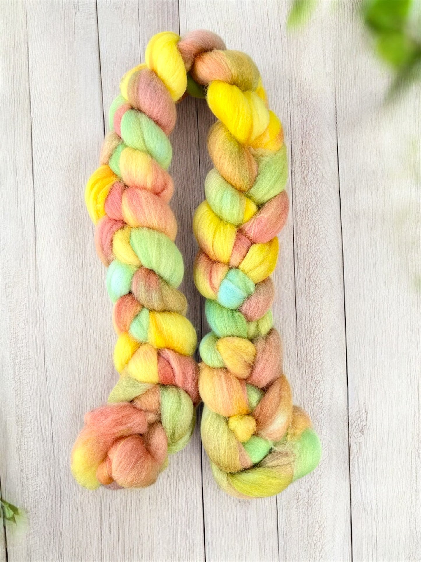 Merino Wool Top ( Roving) - Summer Daisies