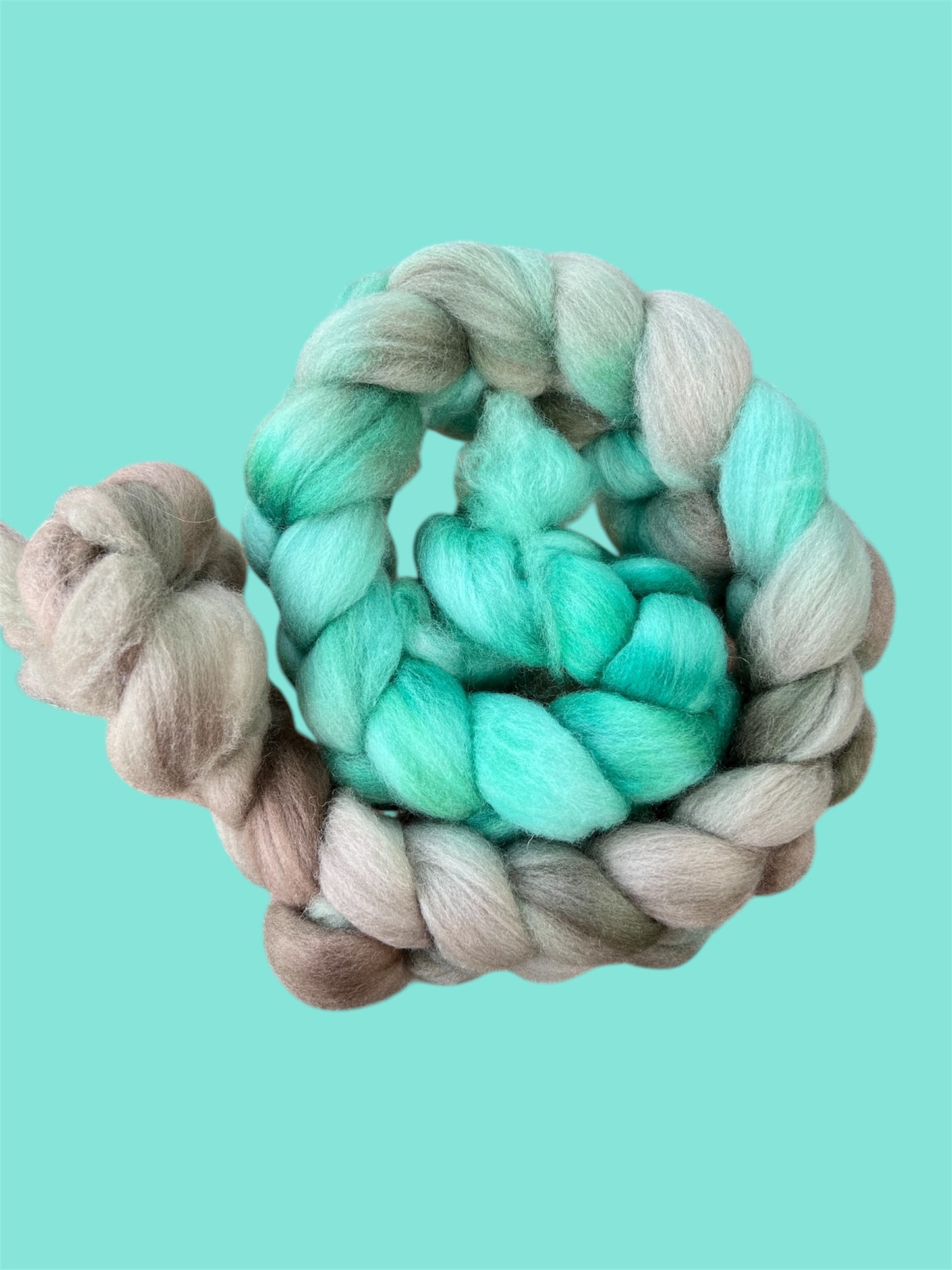 Merino Wool Top ( Roving ) - Forest