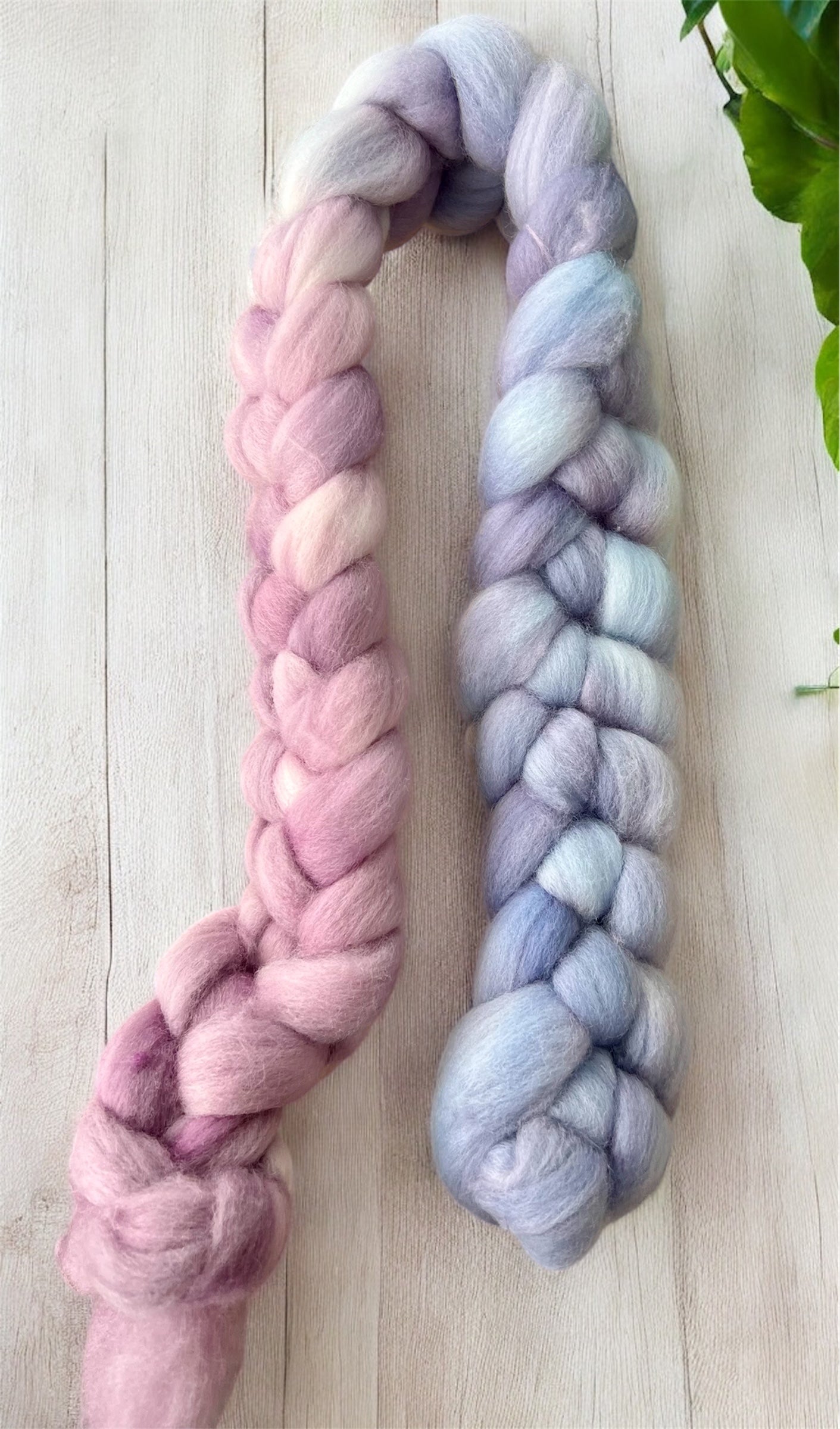 Merino Wool Top ( Roving ) - Hydrangea