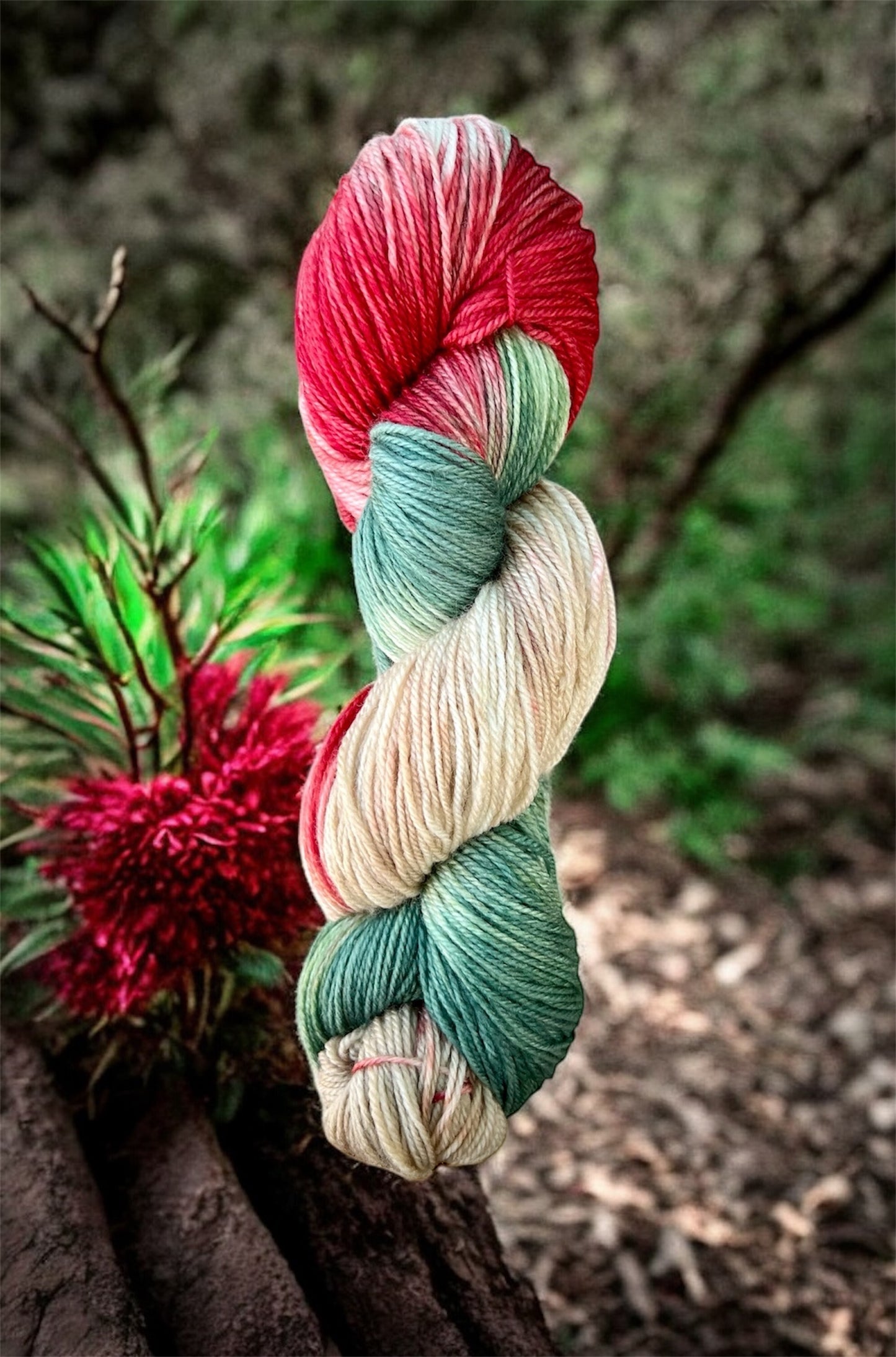Waratah - Sock yarn 4ply