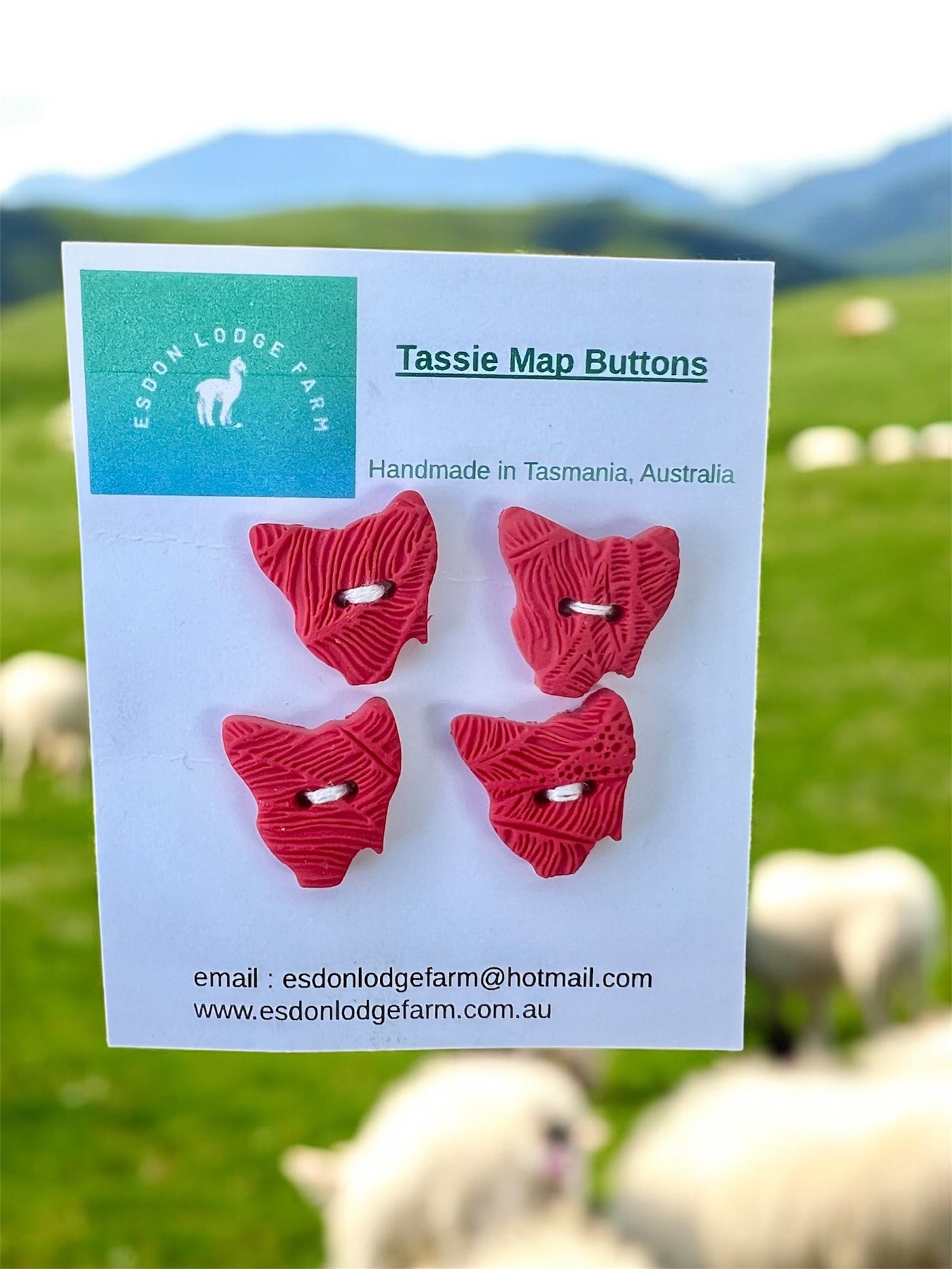 Handmade Tassie Map Buttons