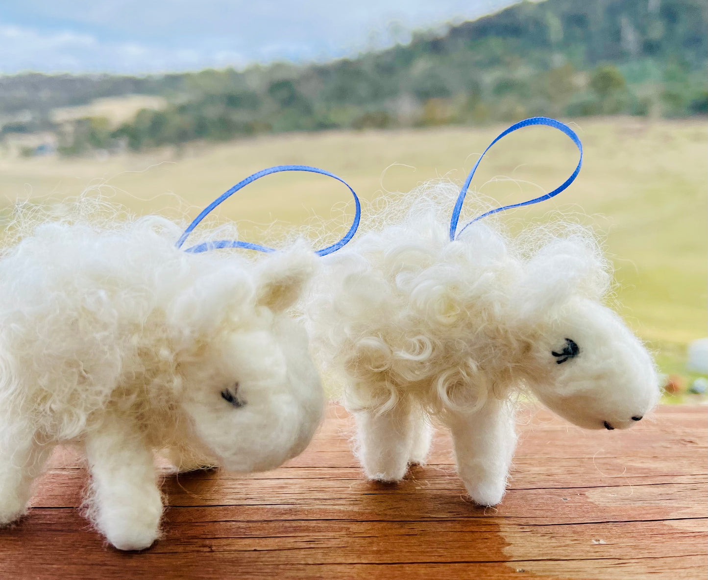Woolly sheep