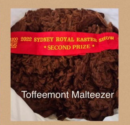 Alpaca yarn- Malteser