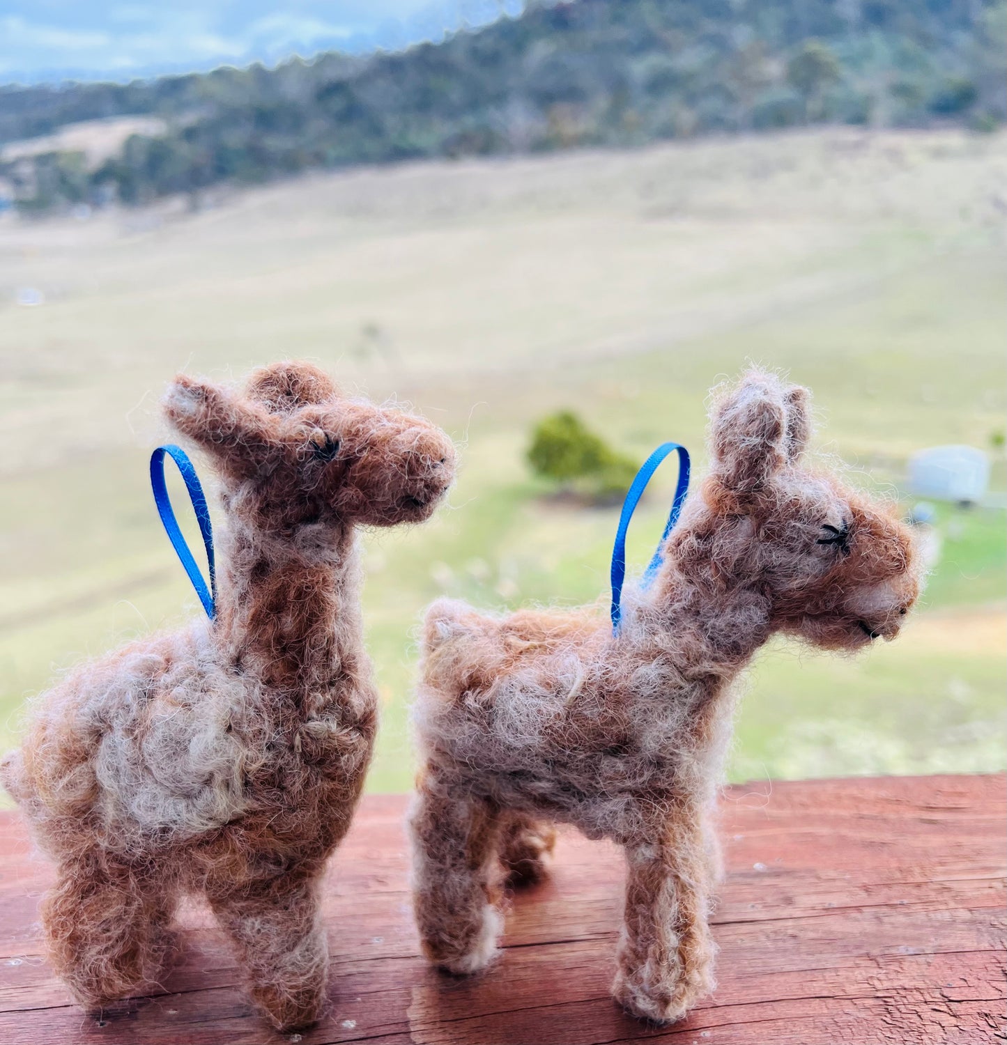 Mini Alpaca