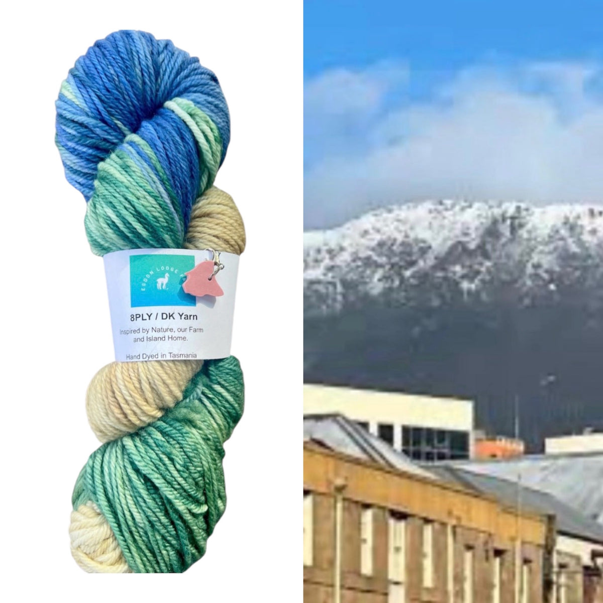 Monthly Yarn Subscription - 8ply