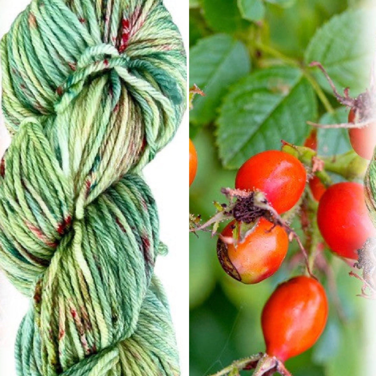 Rose Hip
