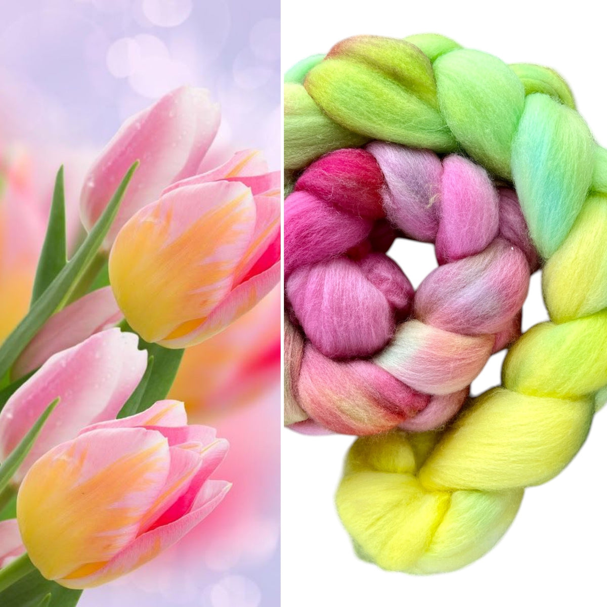 Australian Merino Roving Hand dyed - Tulip