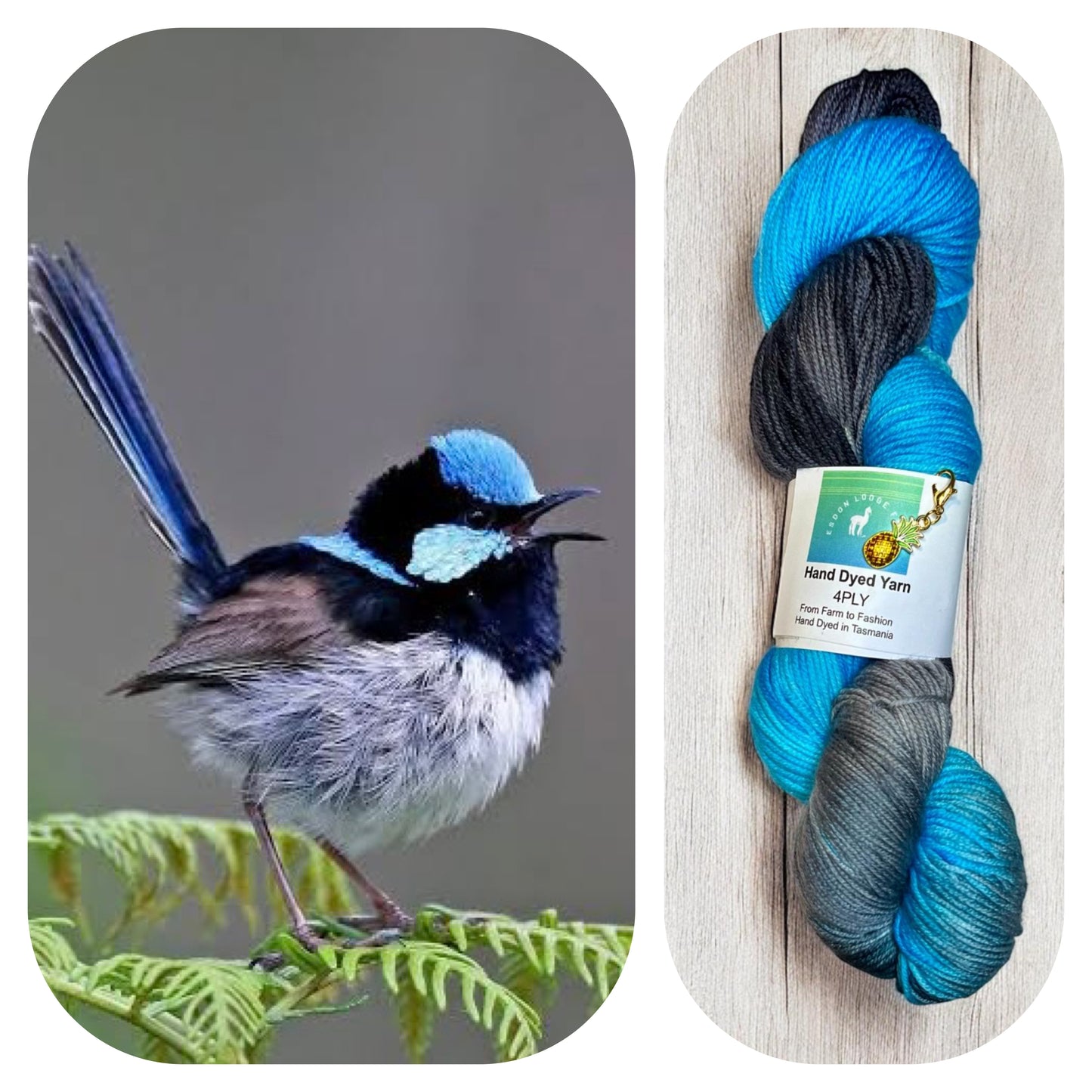 Blue Wren 4ply yarn