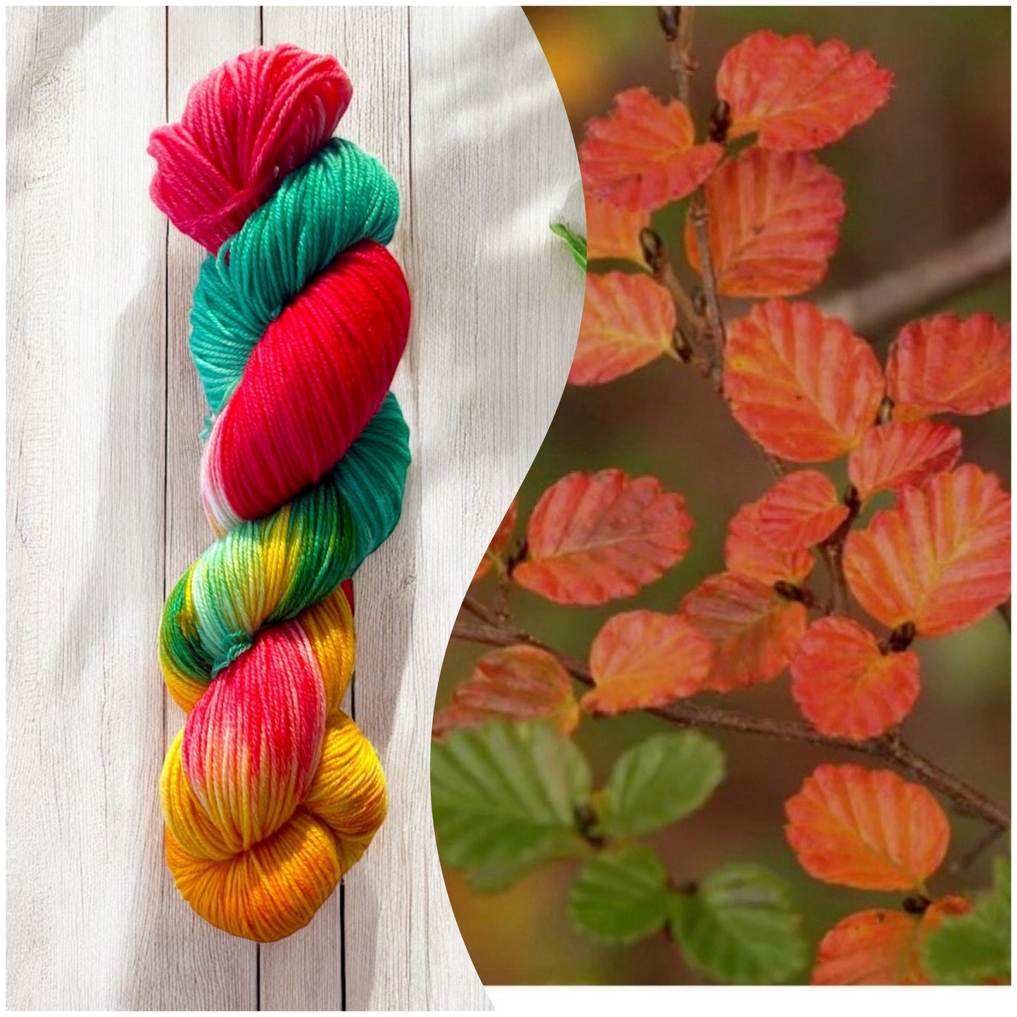 Changing of the Fagus 8ply/DK yarn