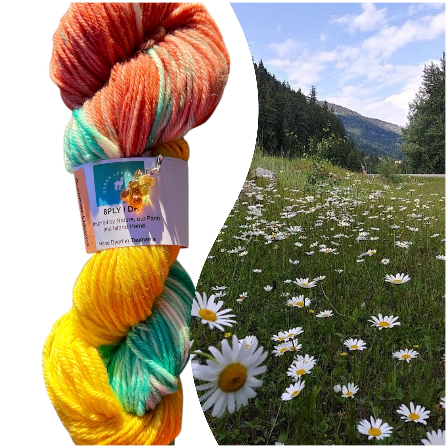 Summer Daisies 8ply/Dk yarn Australian Merino Wool