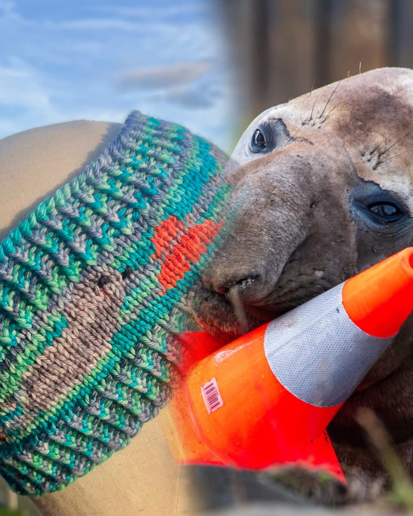 Neil the Seal Headband / Ear warmer