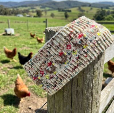 Sheep Headband / Ear warmer - Chicken