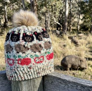 Merino Wool Child Beanie - Tasmania Apple Isle