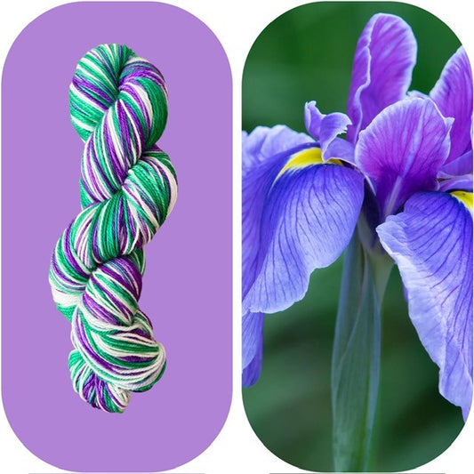 Country Iris Sock yarn