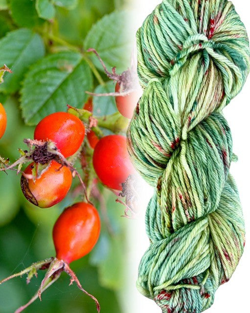 Rose Hip