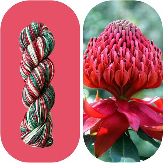Waratah- Sock Yarn